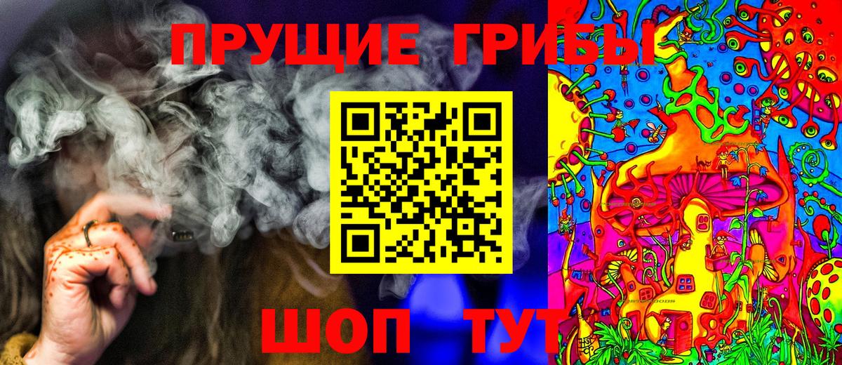 Псилоцибиновые грибы мицелий Боровичи